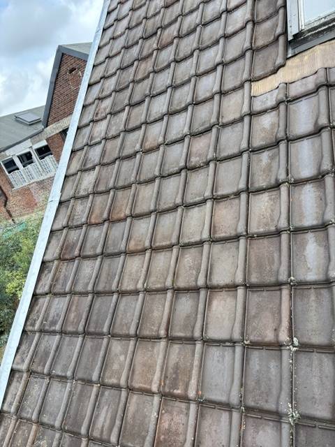 Réparation et nettoyage complet de toiture avec soin artisanal et mortier hydrofuge proche Tourcoing dans les Hauts-de-France